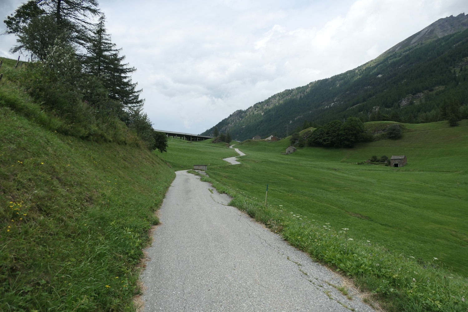 p1060414.jpg