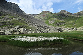 p1060274.jpg