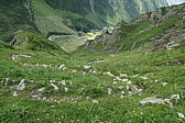 p1060280.jpg