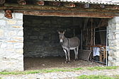 p1060304.jpg