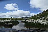 p1060364.jpg