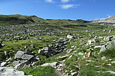 p1060376.jpg