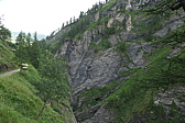 p1060391.jpg