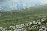 p1060399.jpg