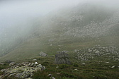 p1060401.jpg