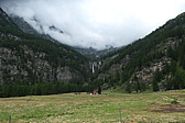 p1060408.jpg