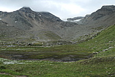 p1060426.jpg