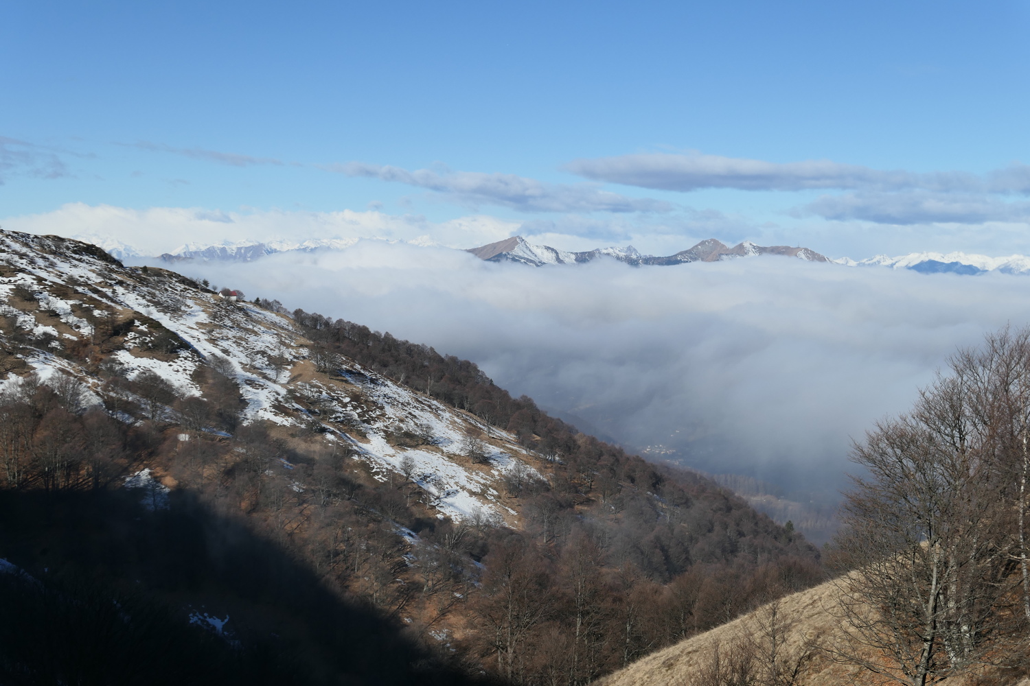 p1050421.jpg