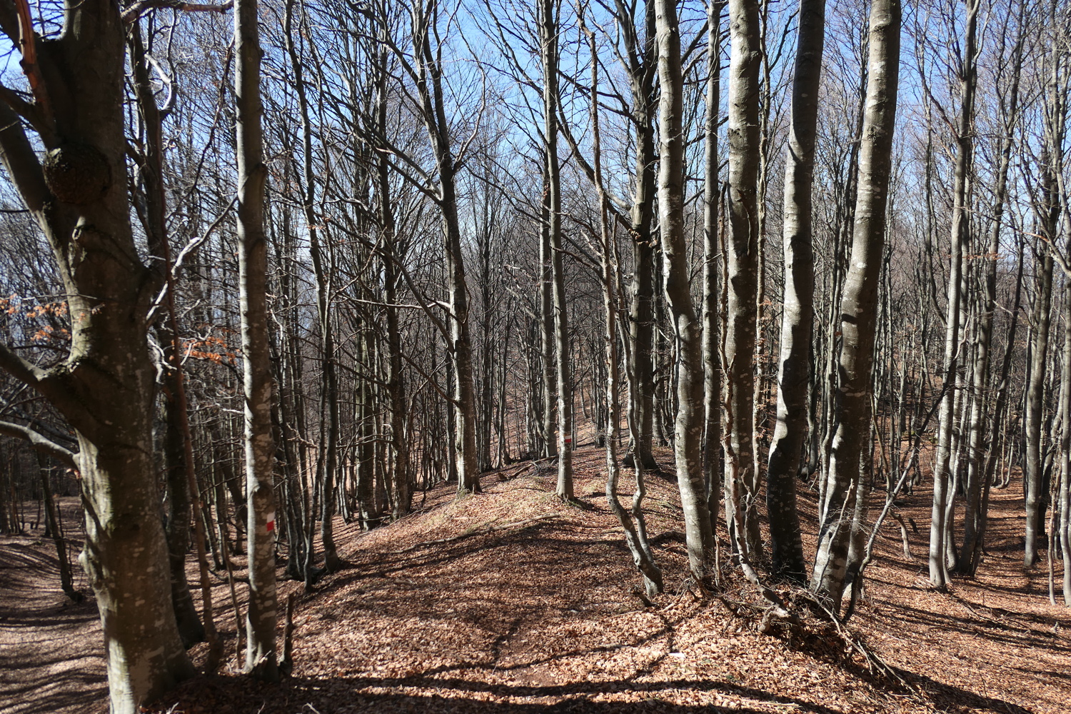 p1050439.jpg