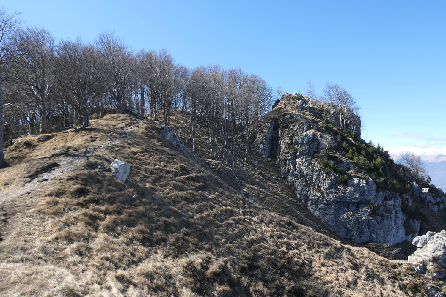 p1050445.jpg