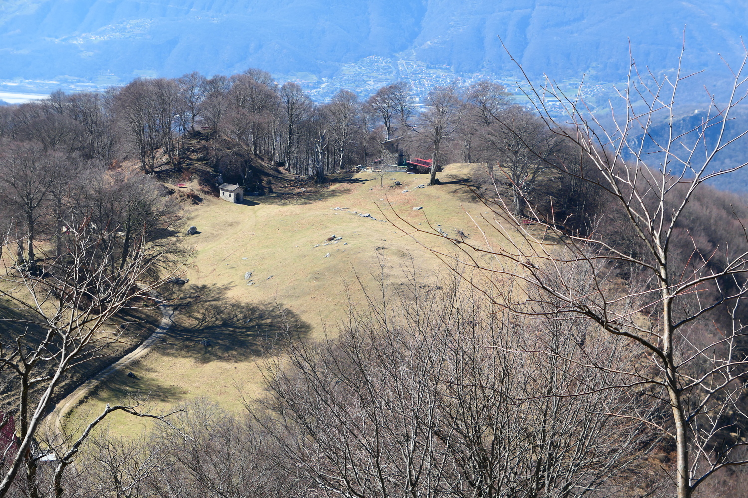 p1050455.jpg