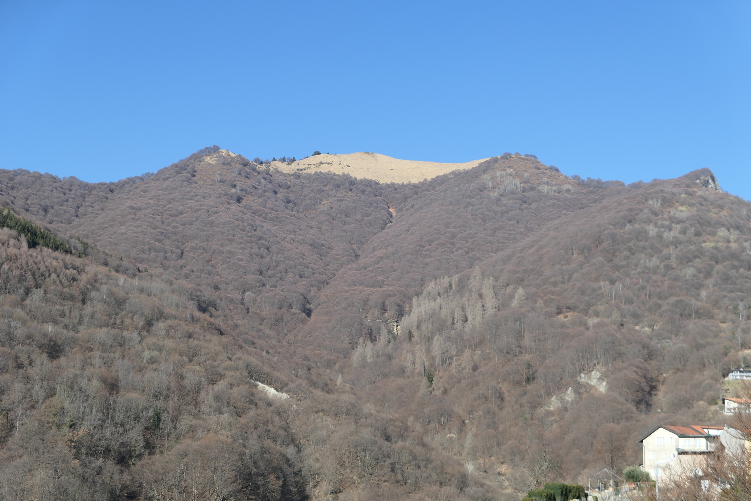 p1050468.jpg