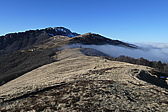 p1050417.jpg
