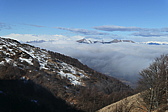 p1050421.jpg