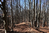 p1050439.jpg