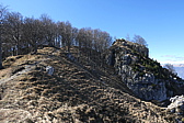 p1050445.jpg