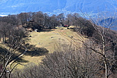 p1050455.jpg