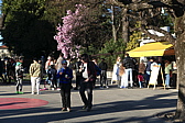p1050472.jpg