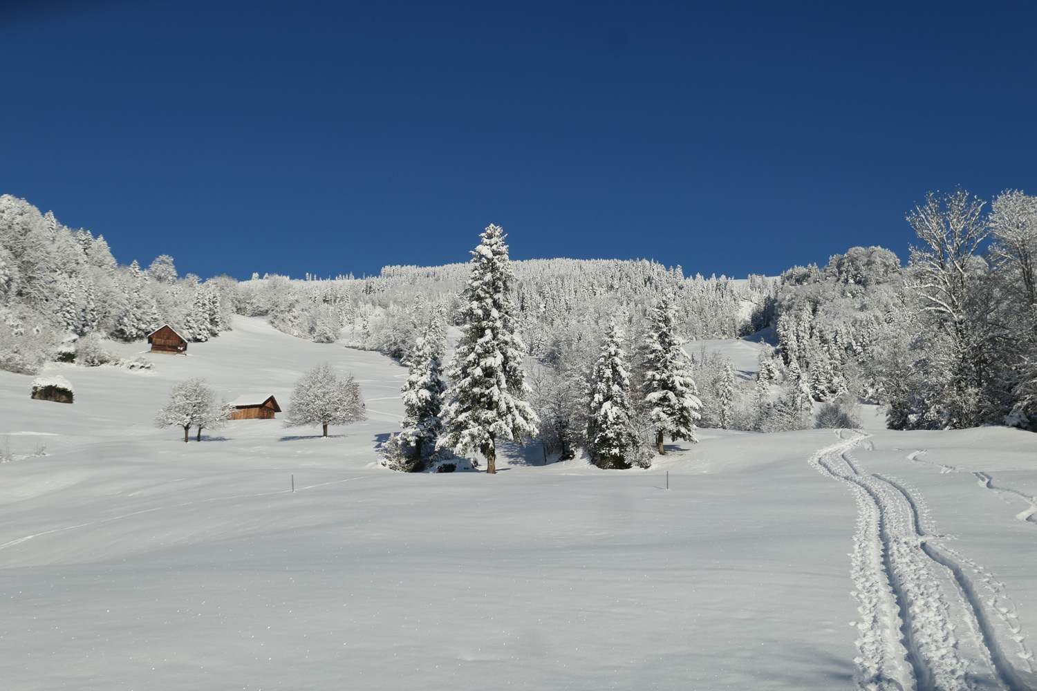 p1080100.jpg