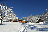 p1080098.jpg