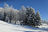 p1080101.jpg