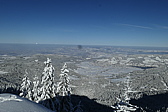 p1080103.jpg