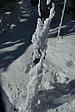 p1080106.jpg
