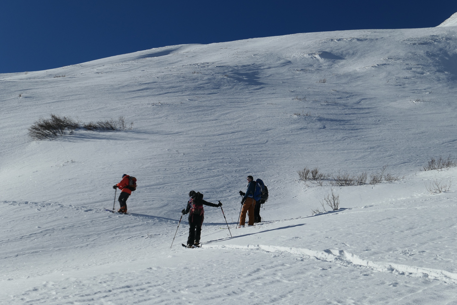 p1050127.jpg