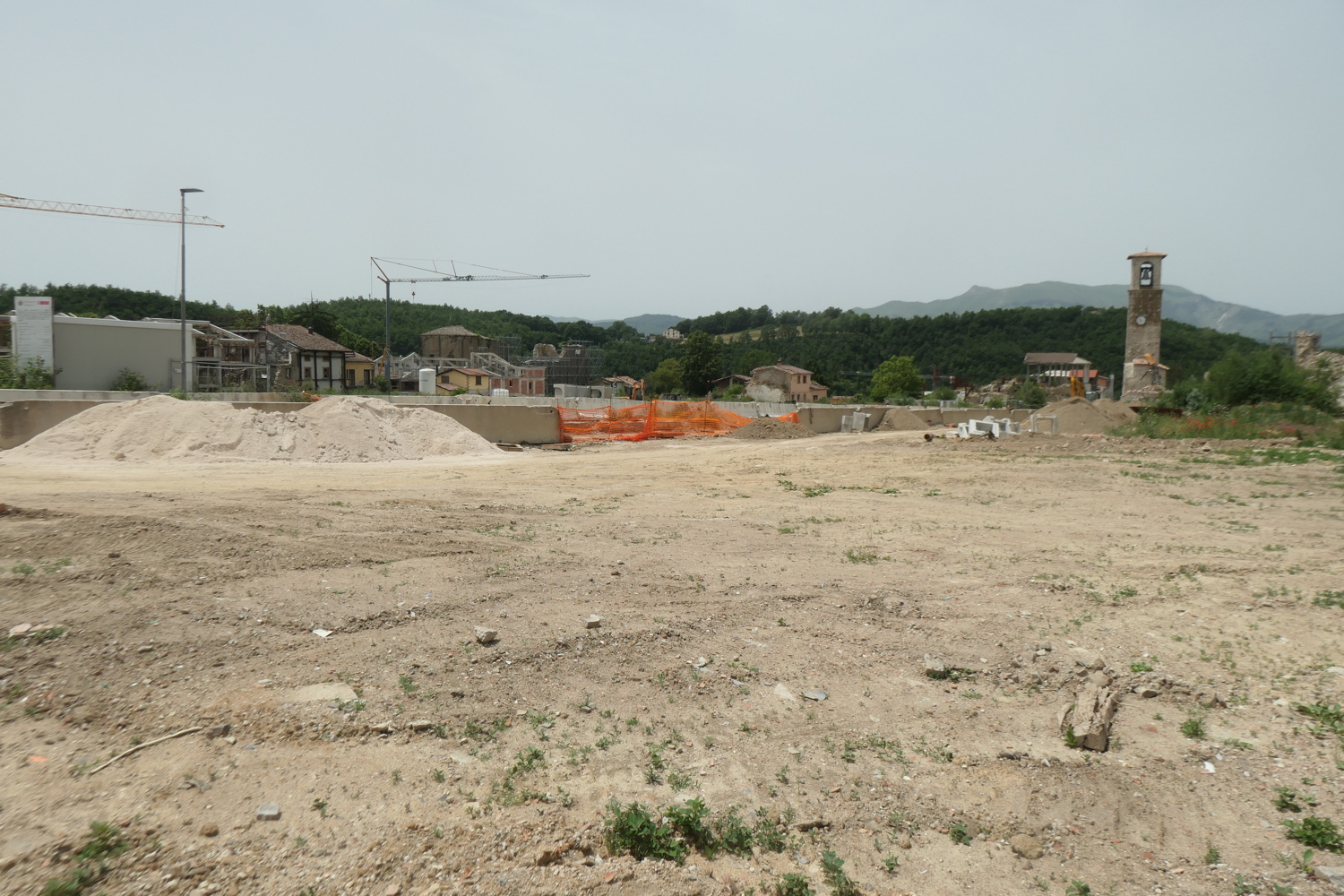 p1005356.jpg