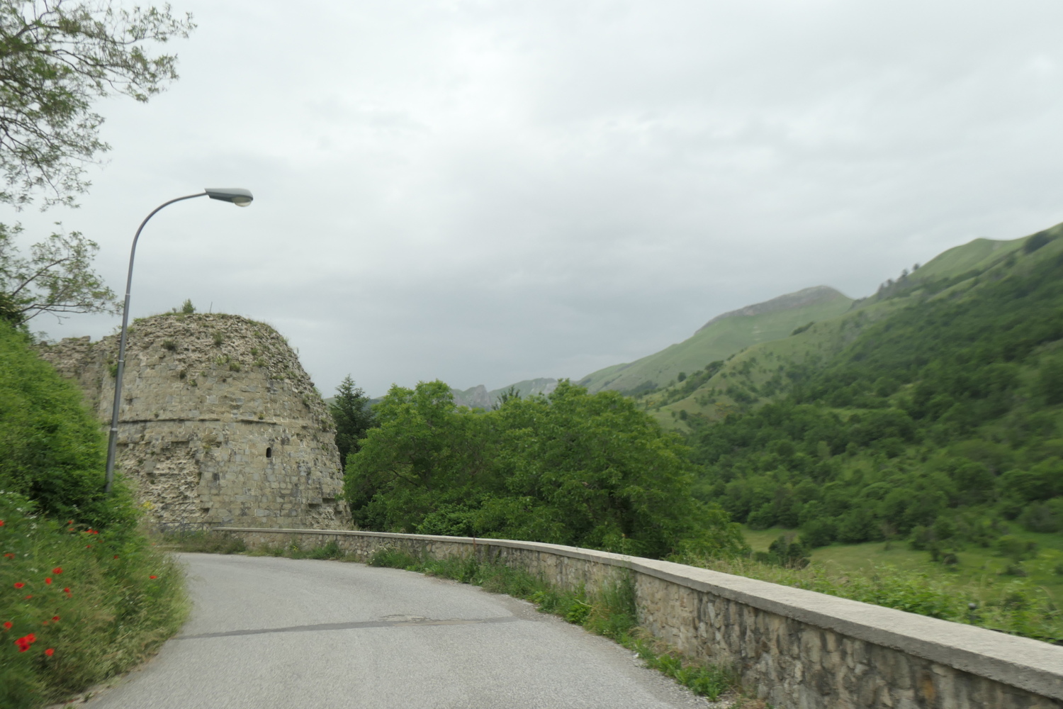 p1005361.jpg