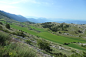 p1005309.jpg