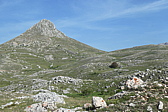 p1005310.jpg