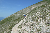 p1005320.jpg