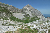 p1005332.jpg