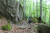 p1005354.jpg