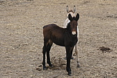 p1005360.jpg