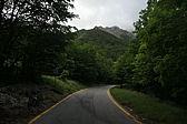 p1005368.jpg