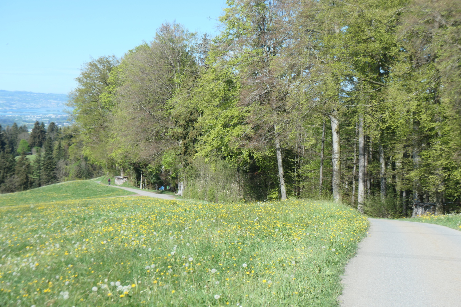 p1004614.jpg