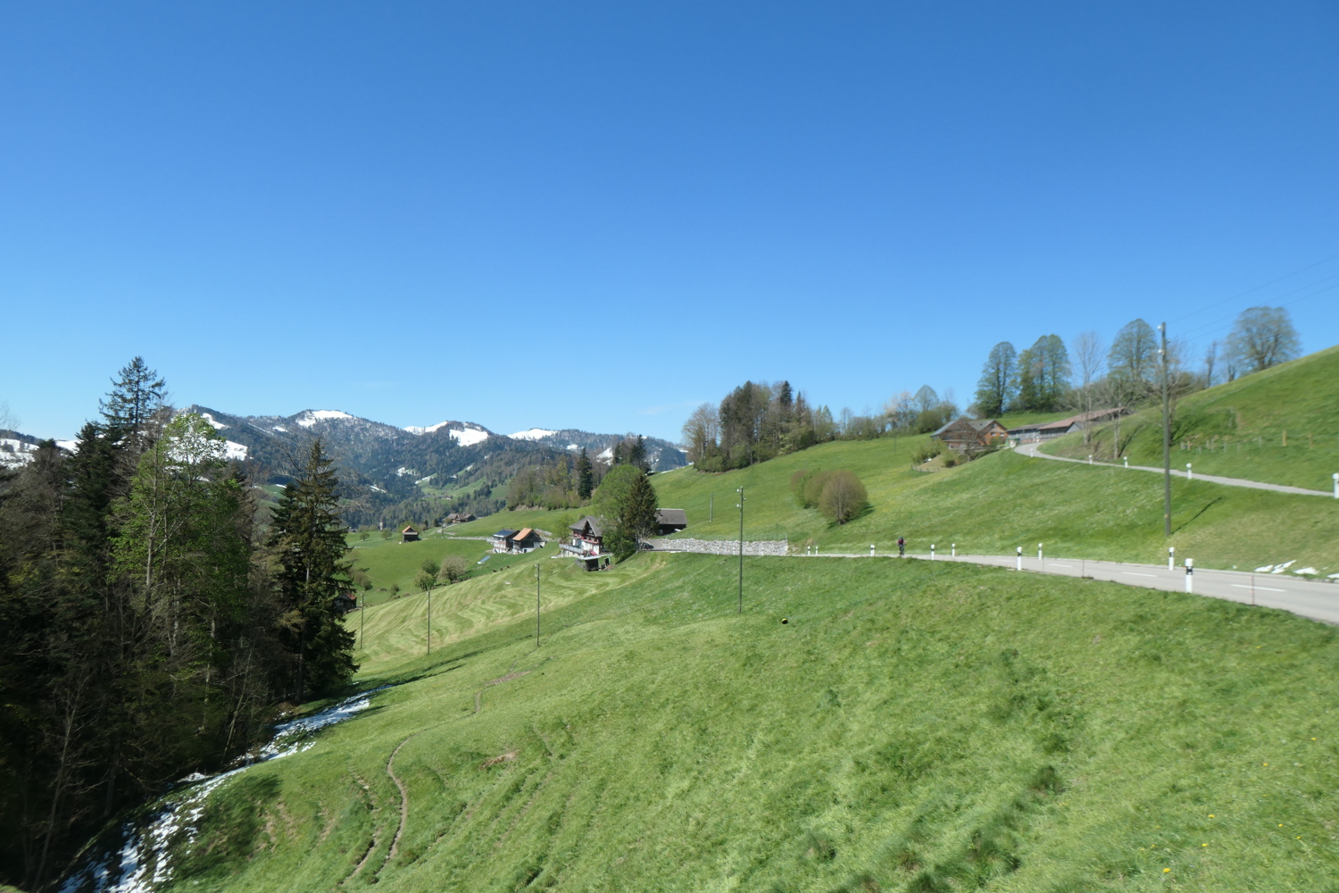 p1004622.jpg