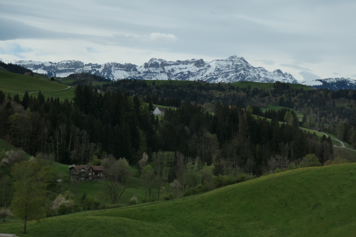 p1004662.jpg