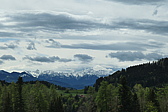 p1004674.jpg