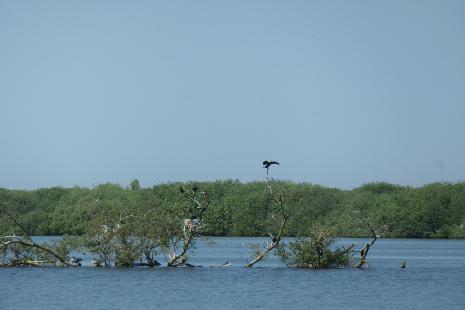 p1004821.jpg