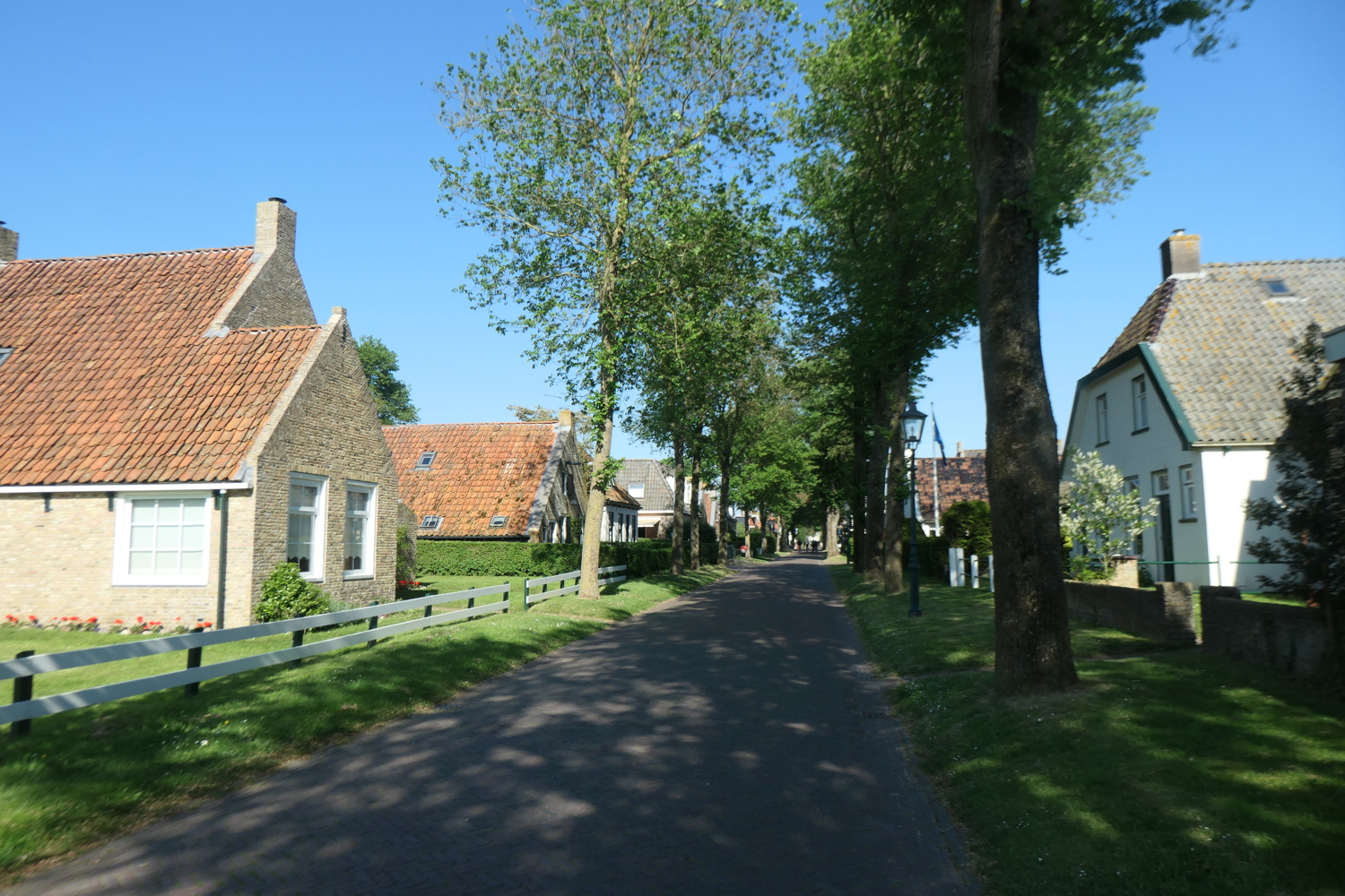 p1004888.jpg