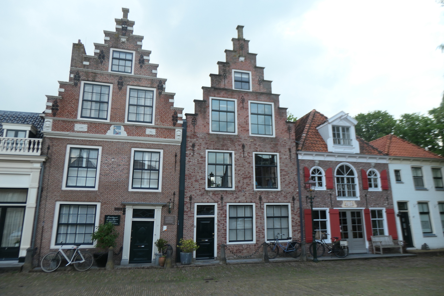 p1005007.jpg