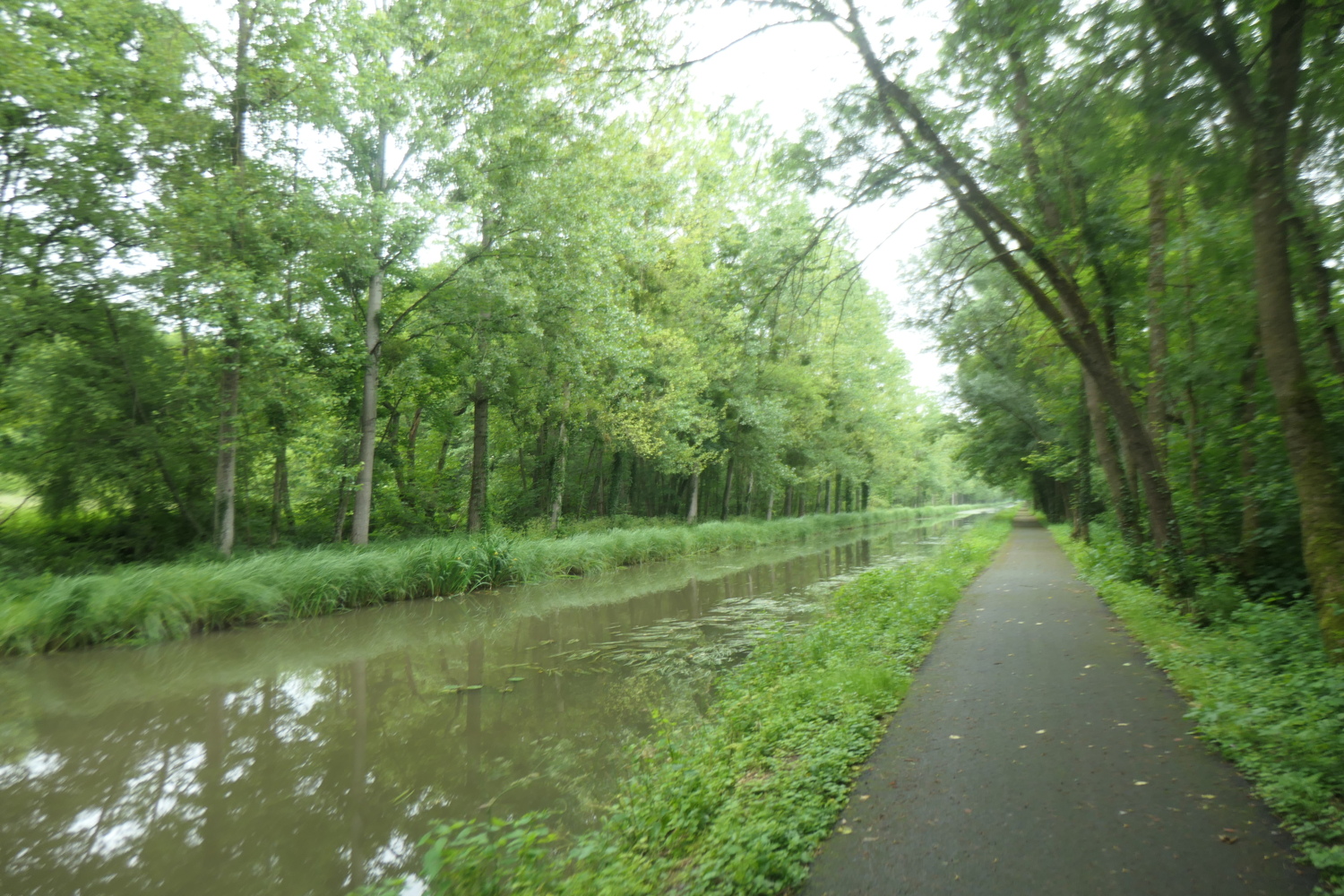 p1005224.jpg