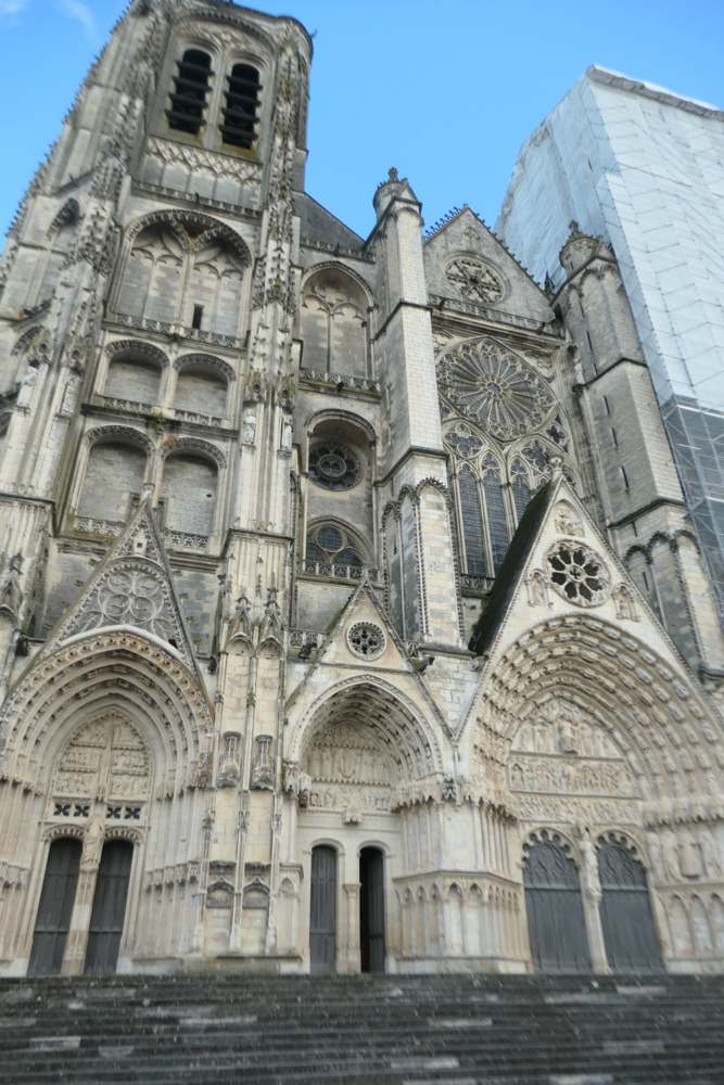 p1005244.jpg