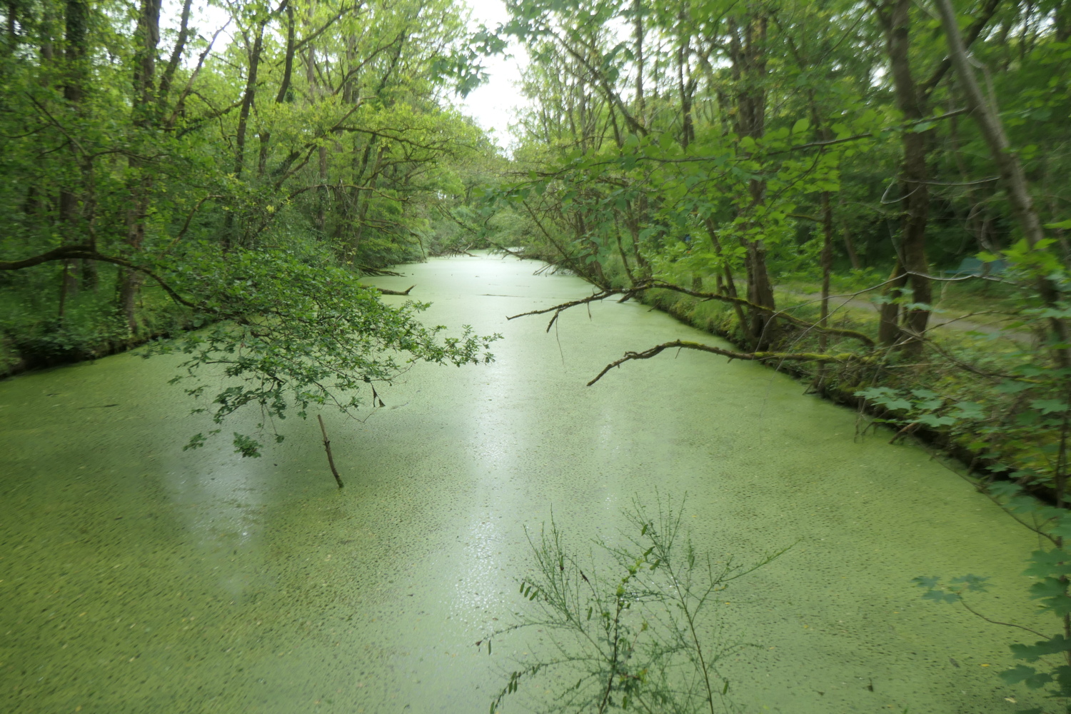 p1005273.jpg