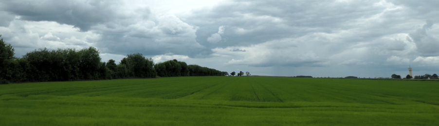 Zum Tourenplan