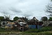 p1005172.jpg