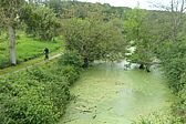 p1005274.jpg